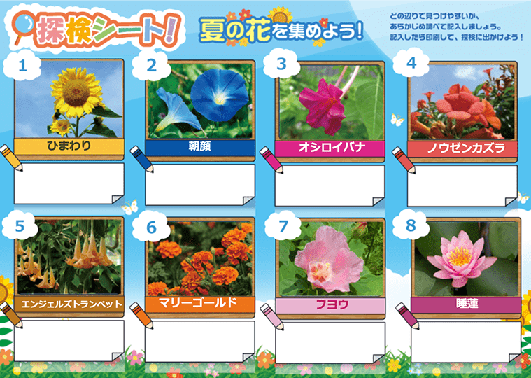 花か昆虫の2種類から選べます！　夏の花＆昆虫 収集シート