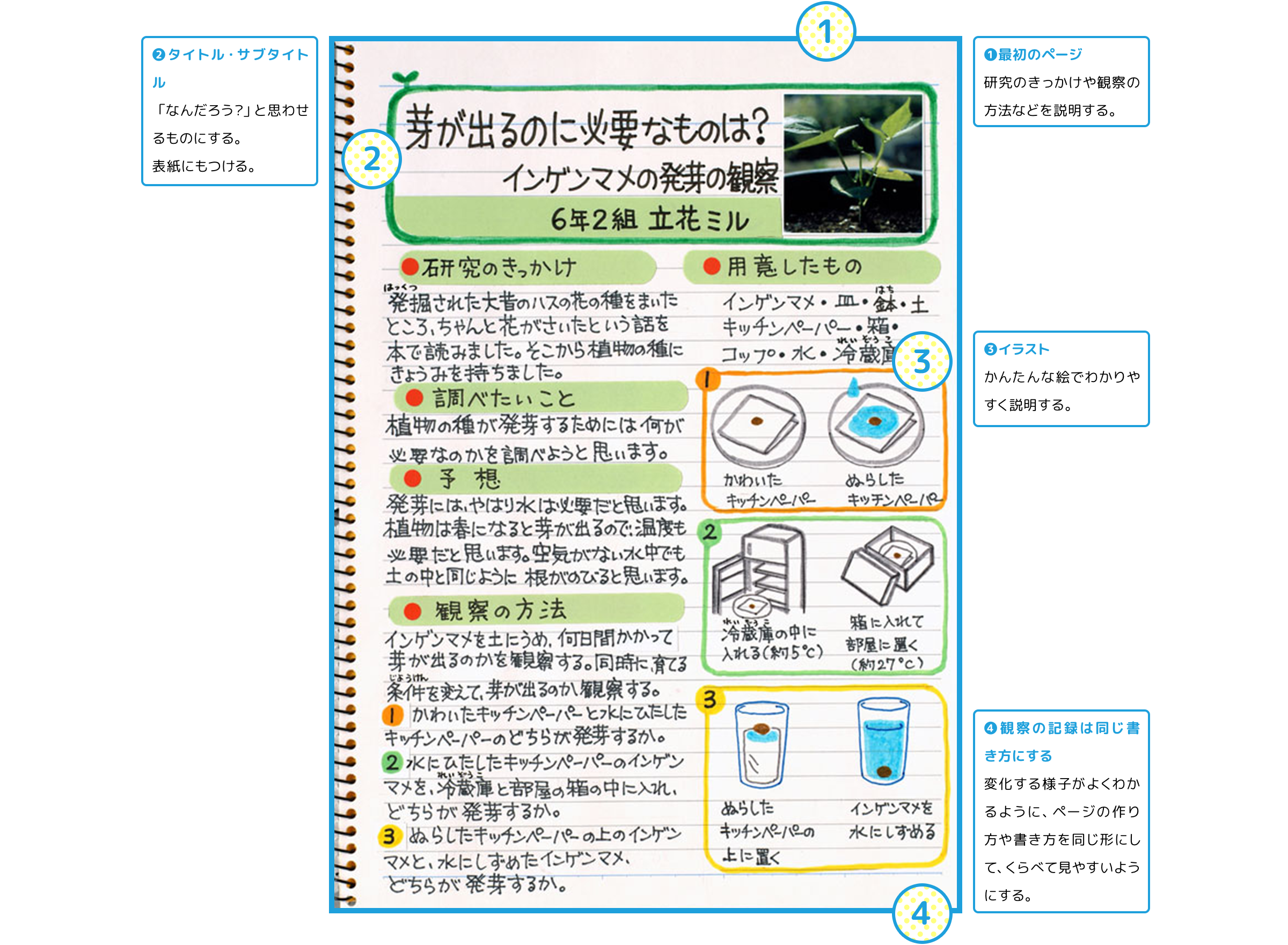 観察の例 まとめ方のコツ 夏休み自由研究プロジェクト 学研キッズネット