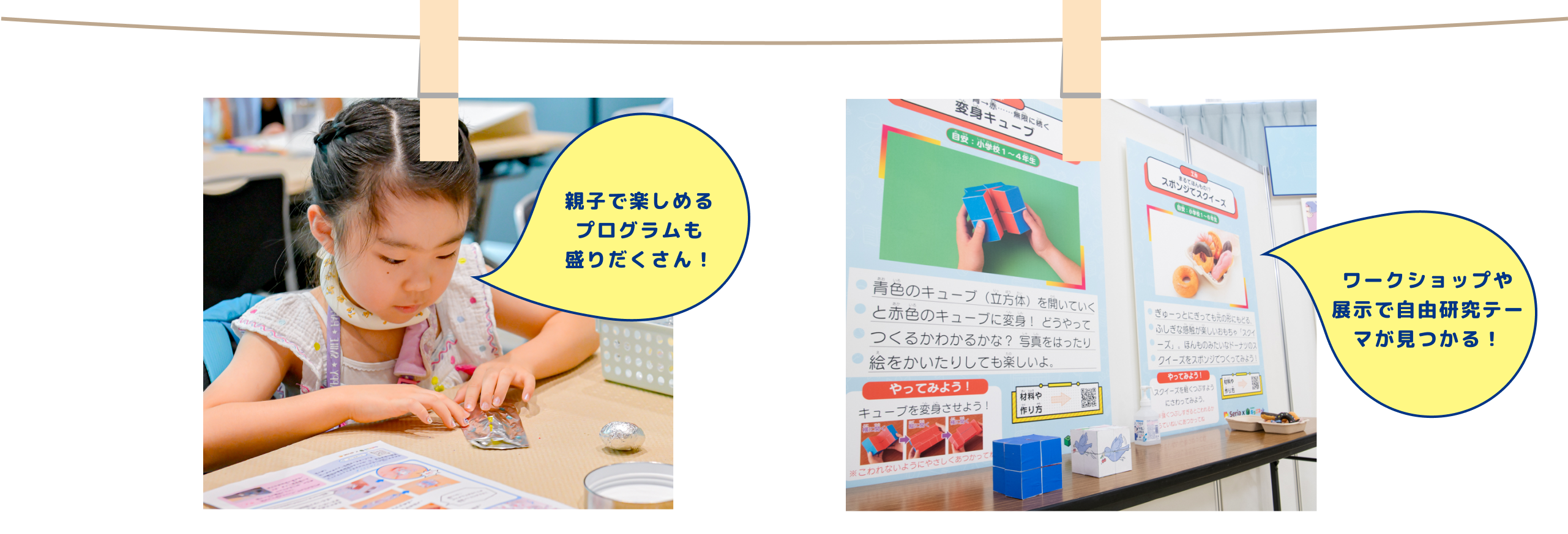 親子で楽しめるプログラムも盛りだくさん！ ワークショップや展示で自由研究テーマが見つかる！