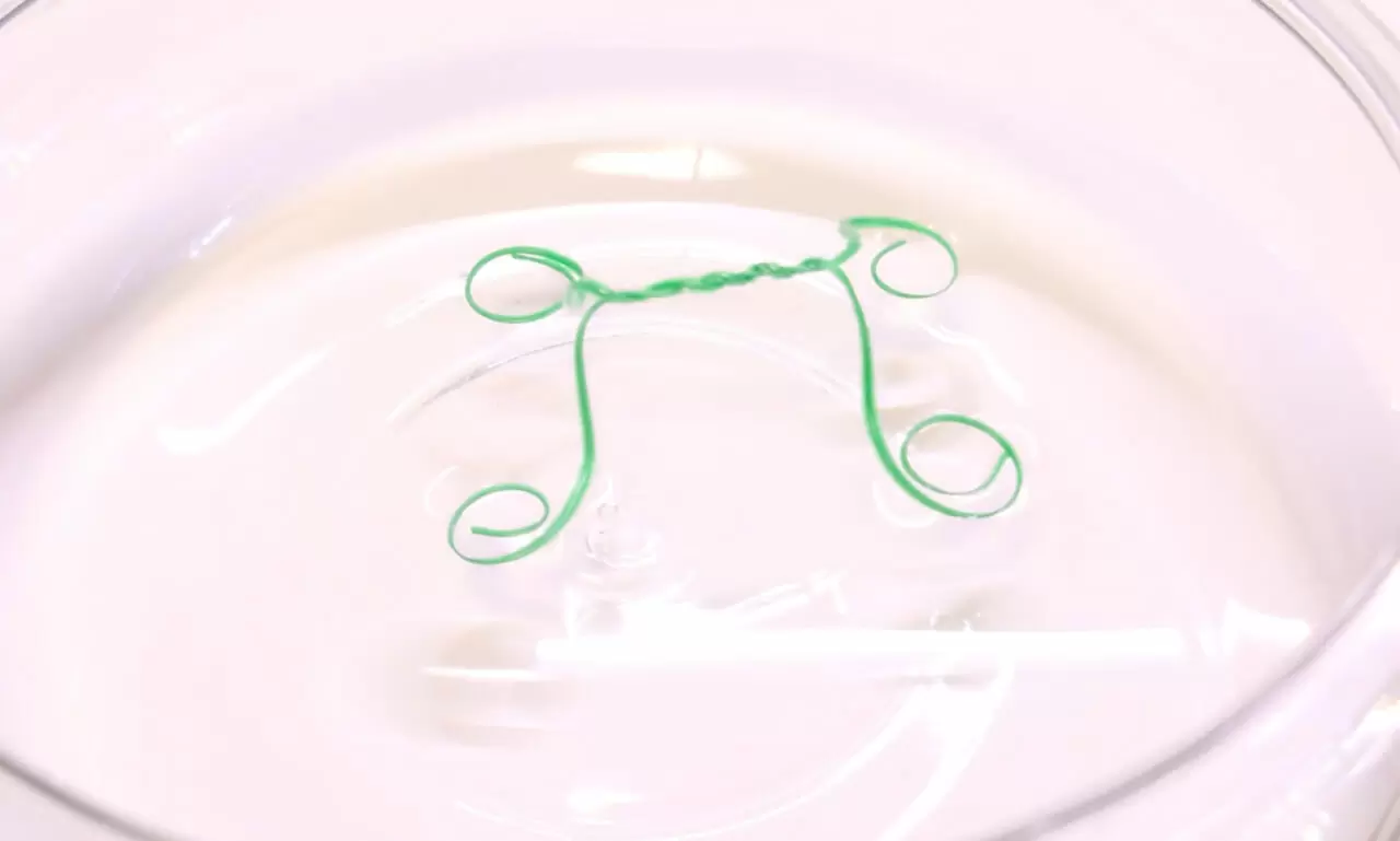 実験方法