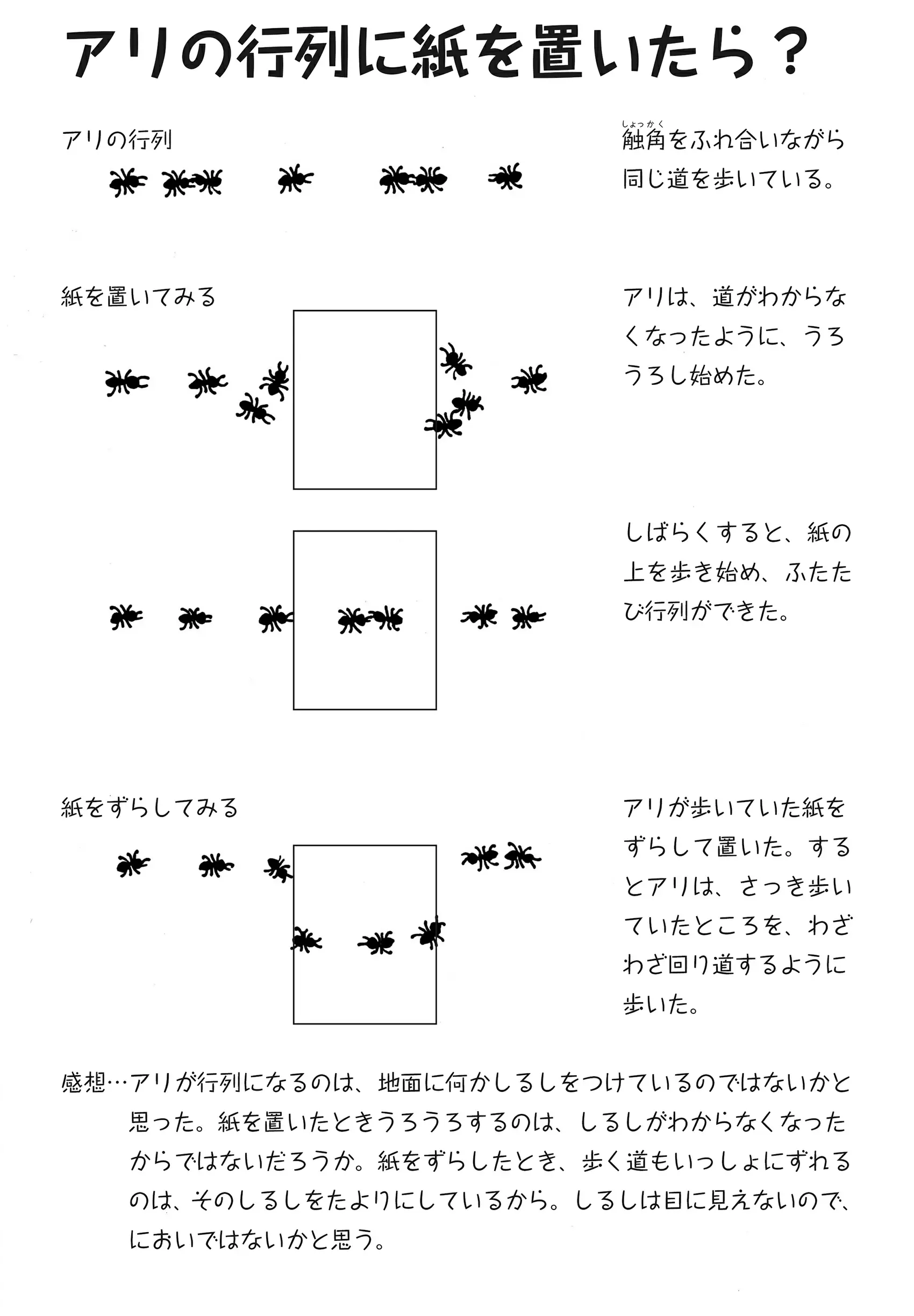 アリはなぜ道にまよわないの｜観察｜自由研究プロジェクト｜学研キッズネット