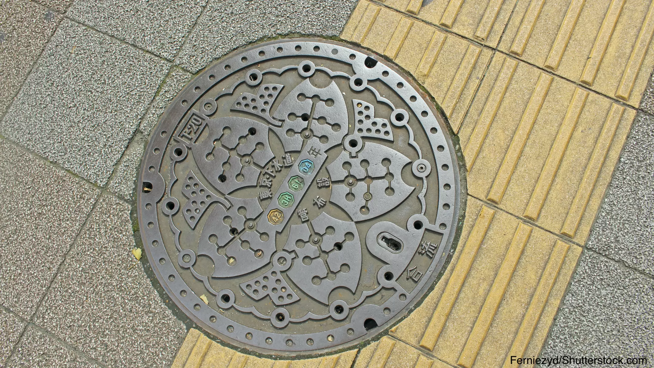 調べ学習 身(み)のまわりにあるマークを集(あつ)めよう！