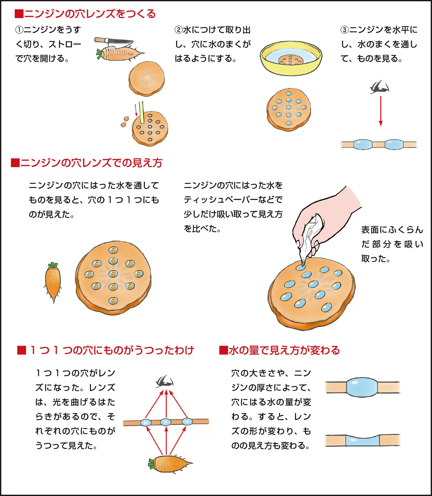 しずくのレンズ｜実験｜自由研究プロジェクト｜学研キッズネット