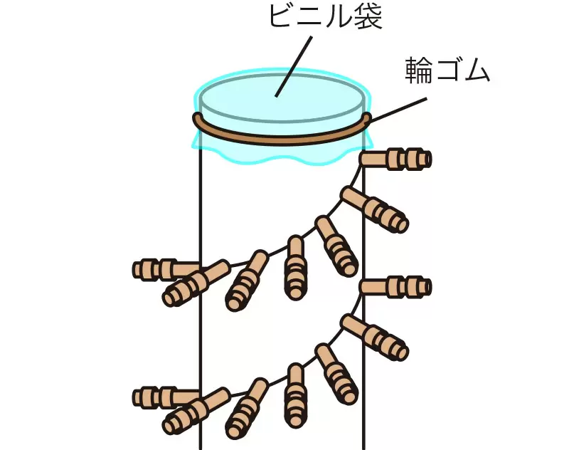 レインスティックをつくろう｜工作｜自由研究プロジェクト｜学研キッズネット