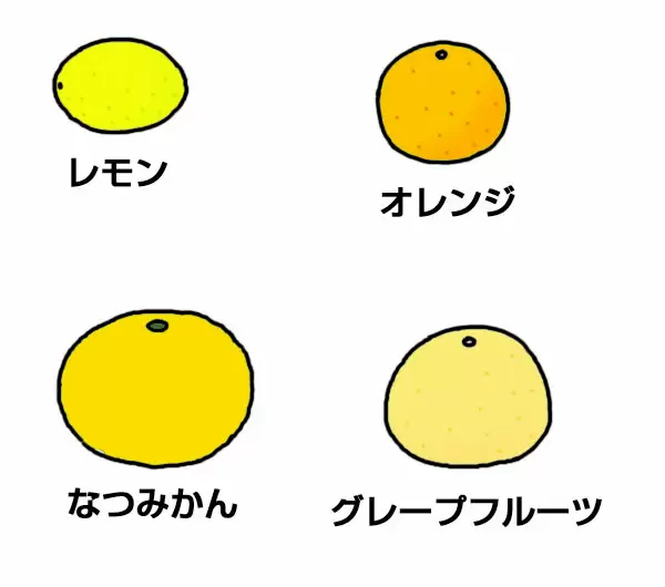 オレンジやみかんのなかま