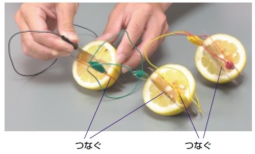 果物や活性炭で電池を作ろう 実験 夏休み 自由研究プロジェクト 学研キッズネット