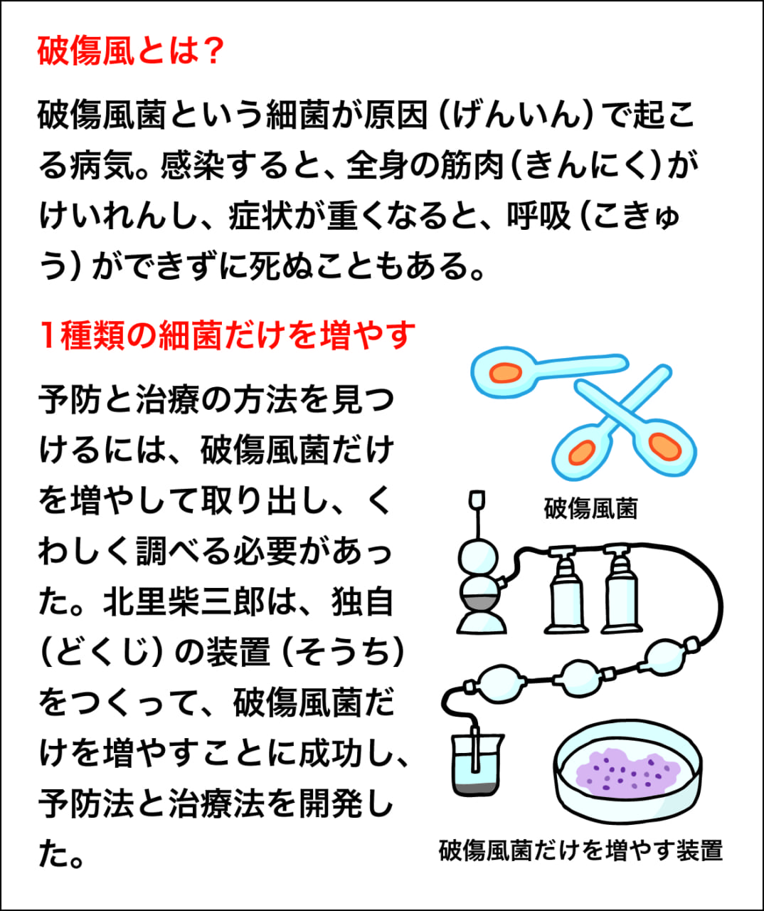 はじめて 破傷風 をあばいた北里柴三郎 調べ学習 夏休み 自由研究プロジェクト 学研キッズネット