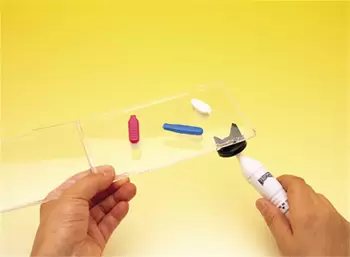 実験 小型(こがた)マッサージ機(き)で歯(は)ブラシが虫(むし)に変身(へんしん)！「歯(は)ブラシ虫(むし)」