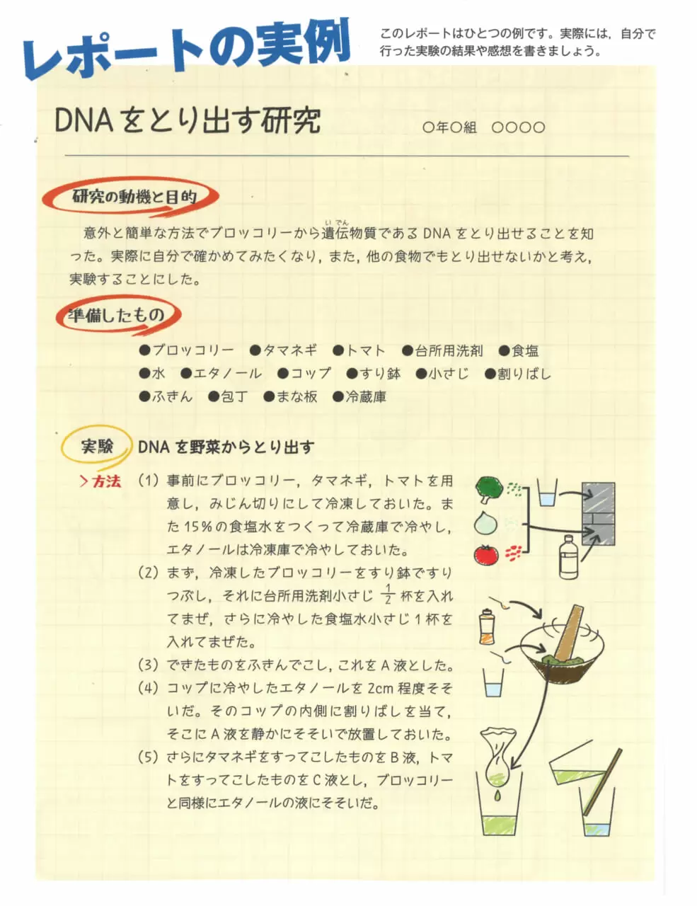 DNAをとり出してみよう｜実験｜自由研究プロジェクト｜学研×朝日新聞キッズネット