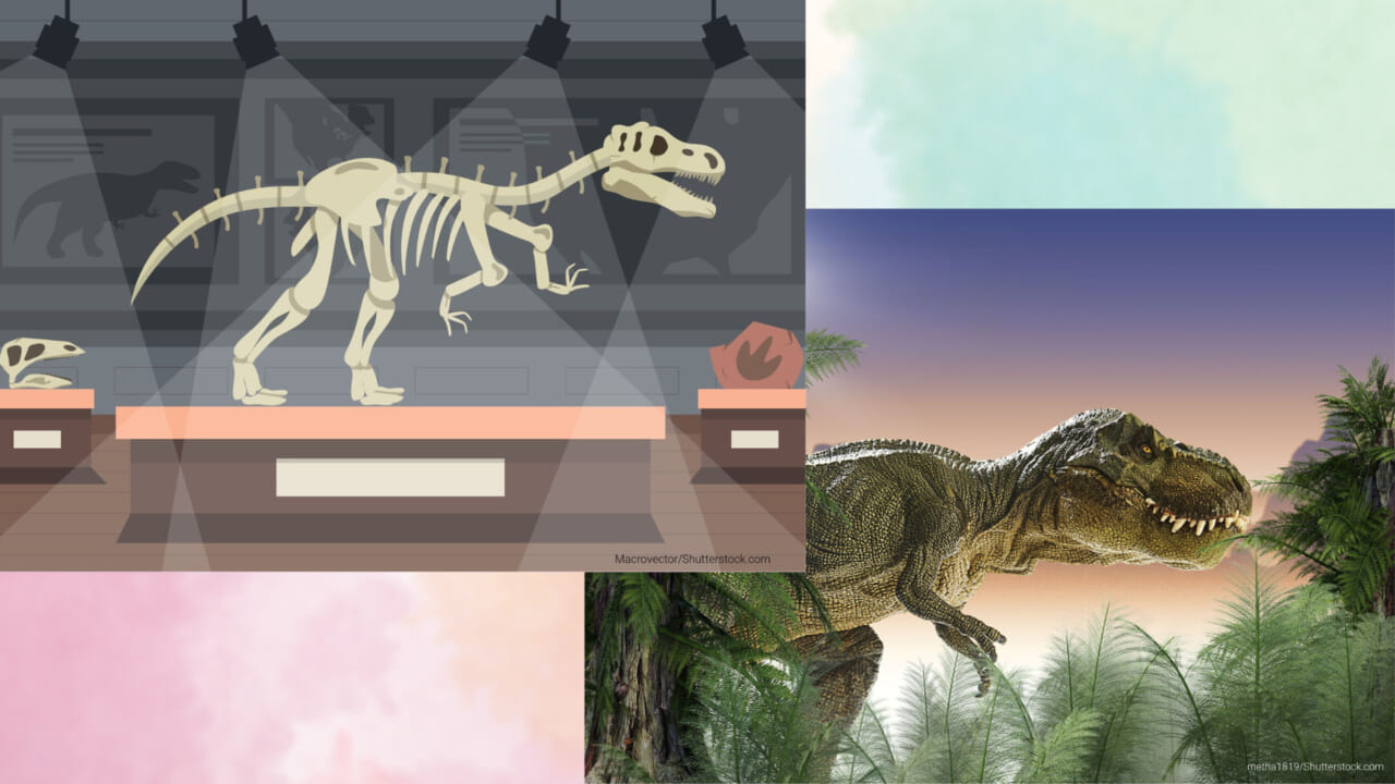 化石と恐竜のイラスト