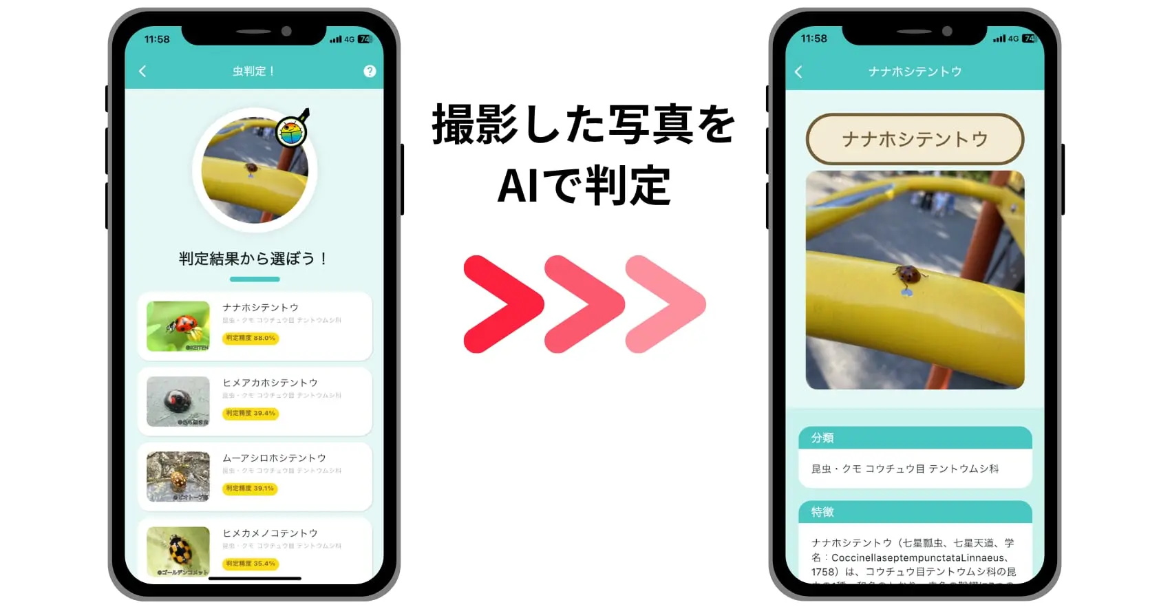 虫みっけアプリAI判定画面