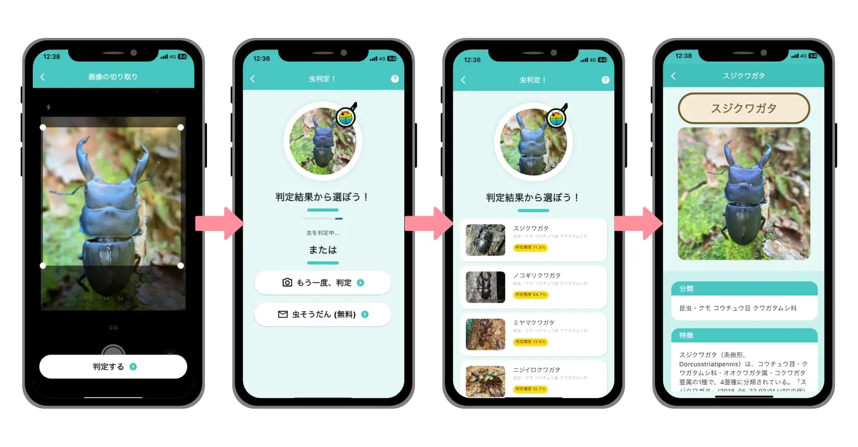 虫みっけ!アプリでAI判定の流れ説明