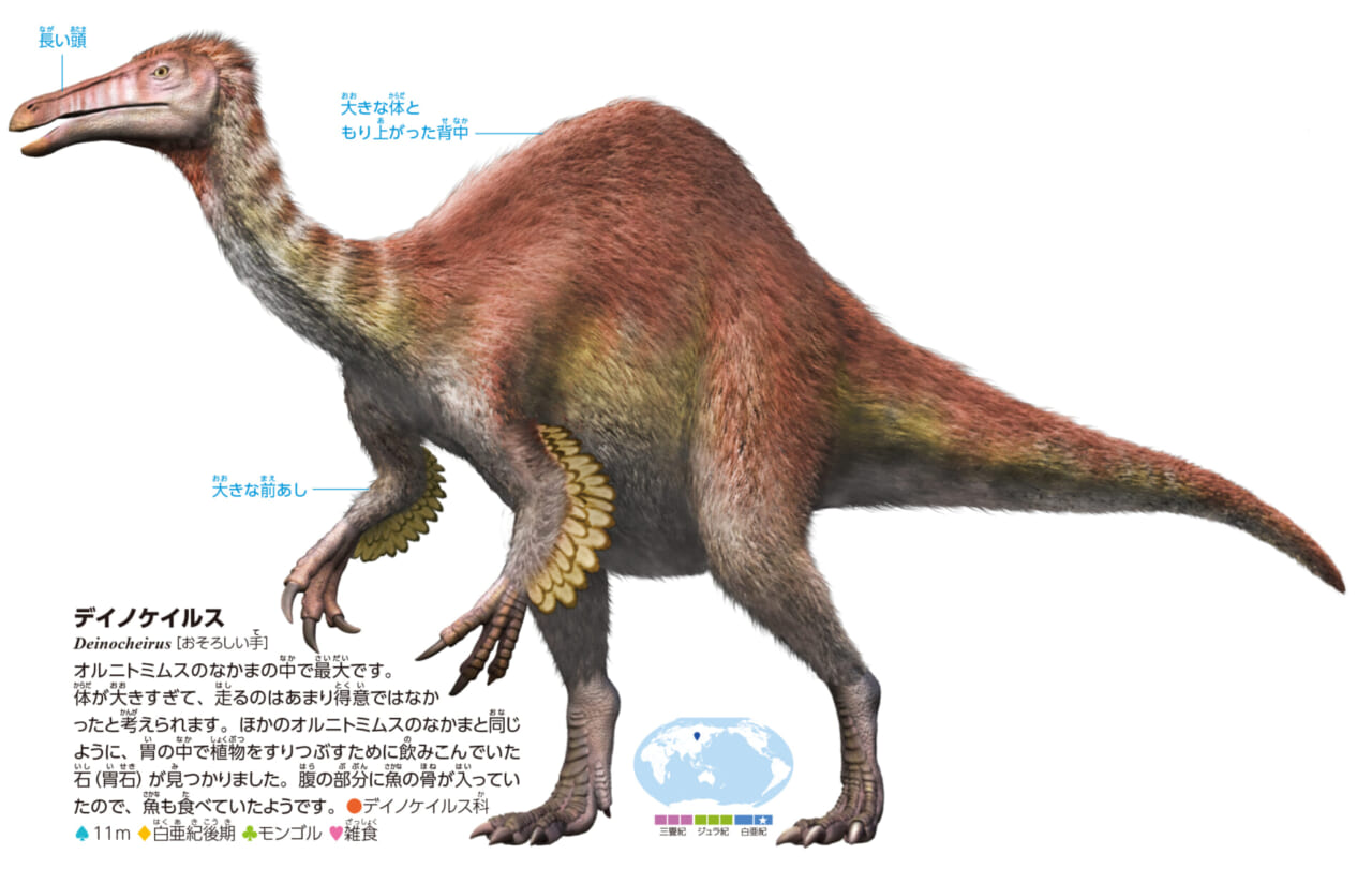 デイノケイルス