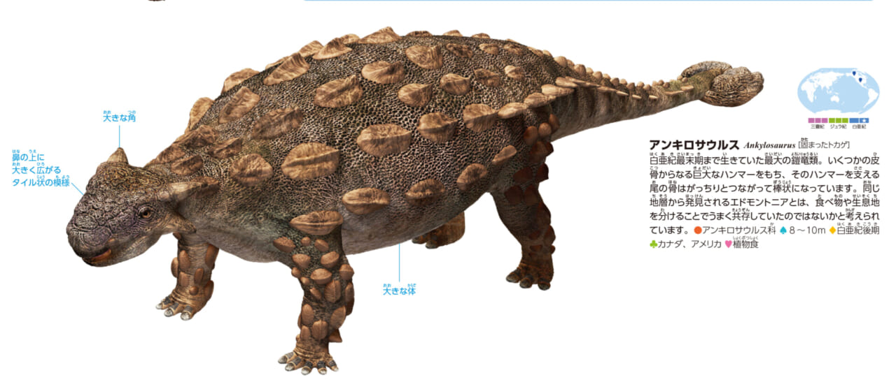 アンキロサウルス