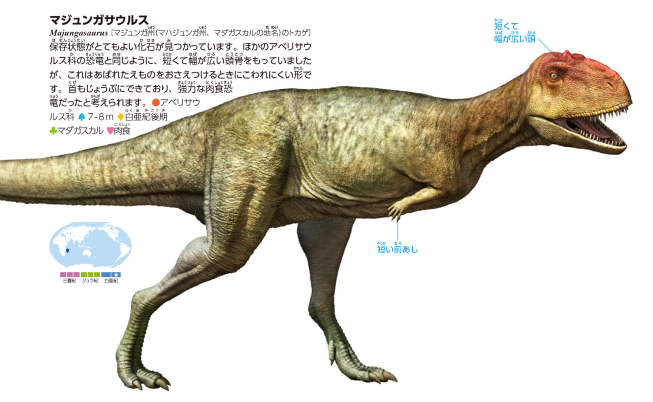 マジュンカサウルス