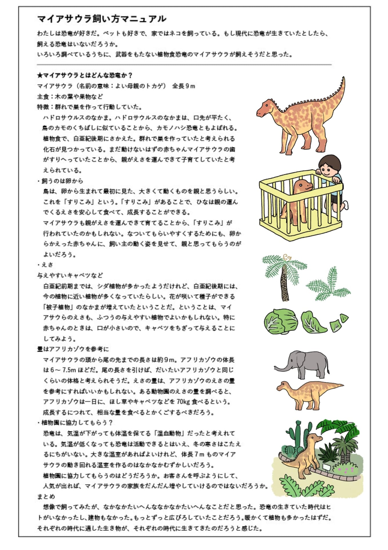 飼い方マニュアル