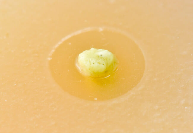 身近(みぢか)なものの「抗菌(こうきん)作用(さよう)」を実験(じっけん)で確(たし)かめよう