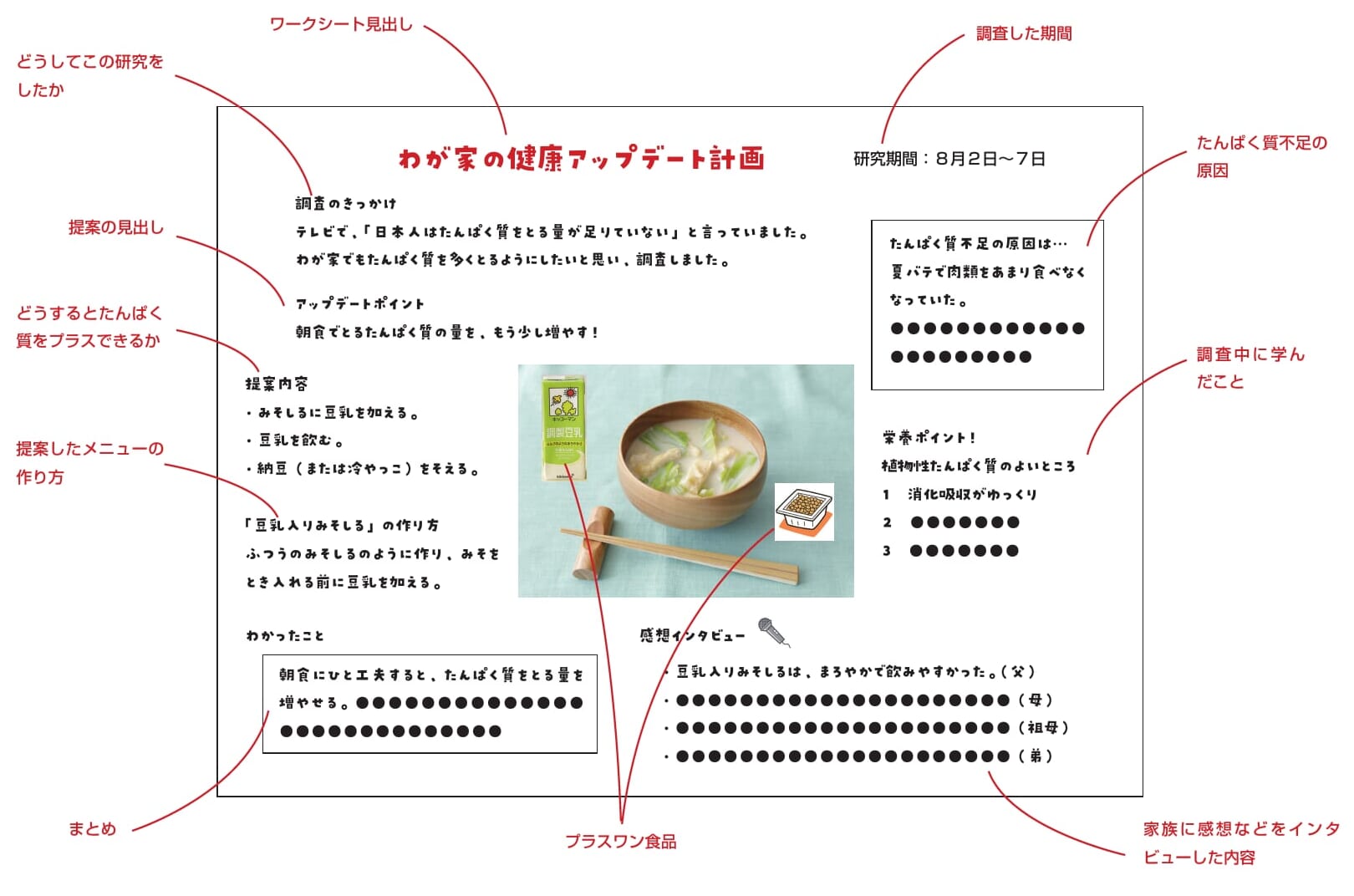 自由研究たんぱく質大調査のまとめ例