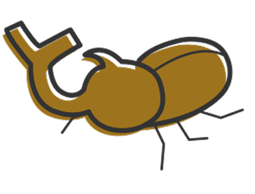 昆虫