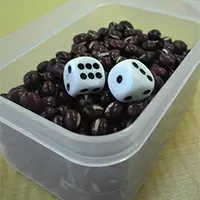 遊びの中に気づきを！ 子どもたちの頭を刺激するサイコロゲーム