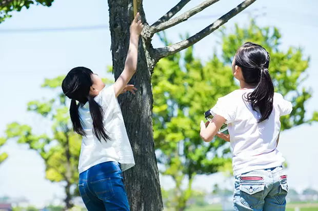 やる気スイッチを押すきっかけは、学ぶおもしろさに気づくことから（1）／子どもが伸びる家庭の10の習慣【第3回】