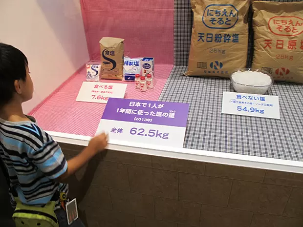 自由研究のヒントをさがしに！ たばこと塩の博物館へ【前編】