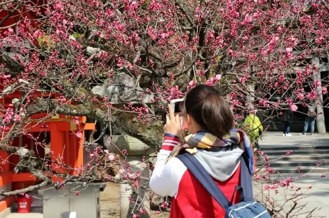 Case 25 スマホ時代のひとり旅／わが家のSNSトラブル　～ユカの事件簿～