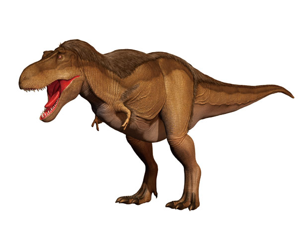 ティラノサウルス 恐竜 イラスト リアル Okepictydae