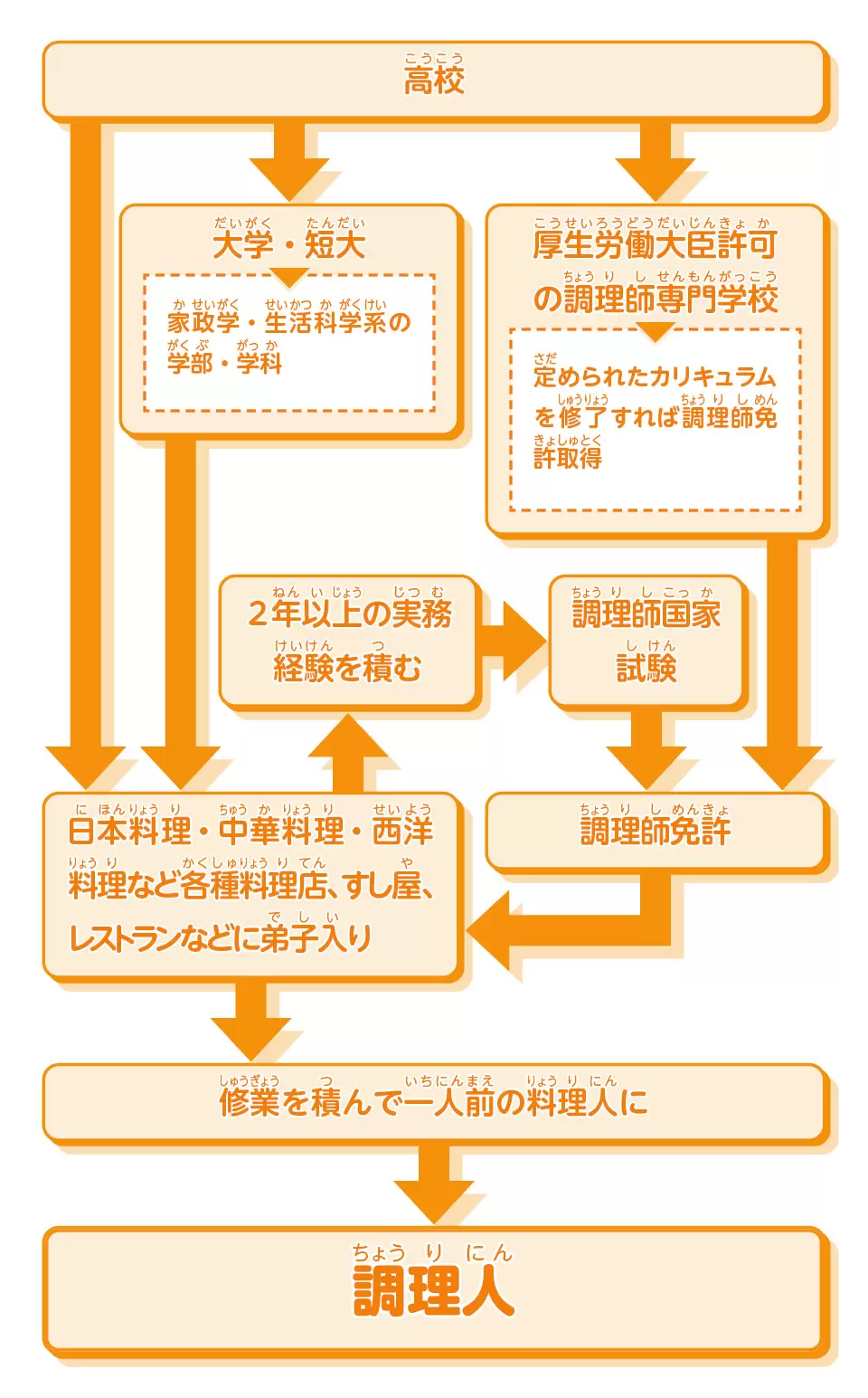 調理人 | 栄養・調理・製菓 | 未来の仕事を探せ！ | 未来の仕事 | 学研キッズネット