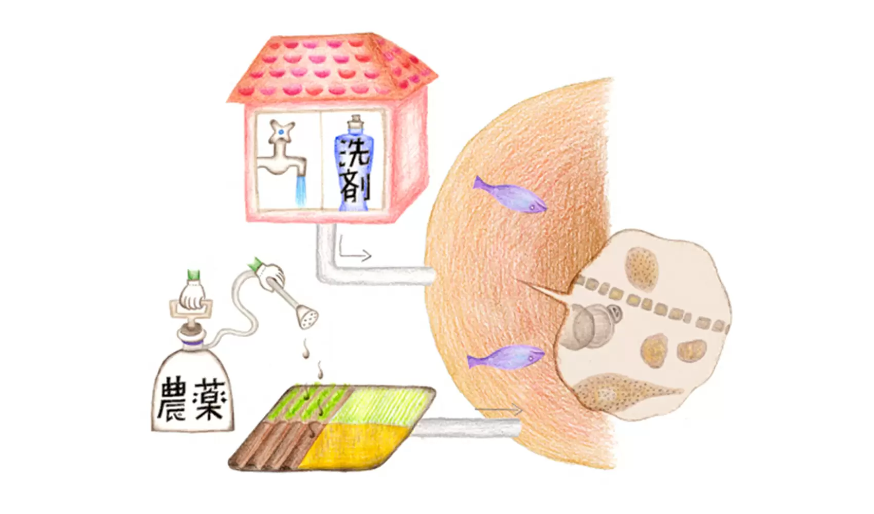 赤潮って何ですか？