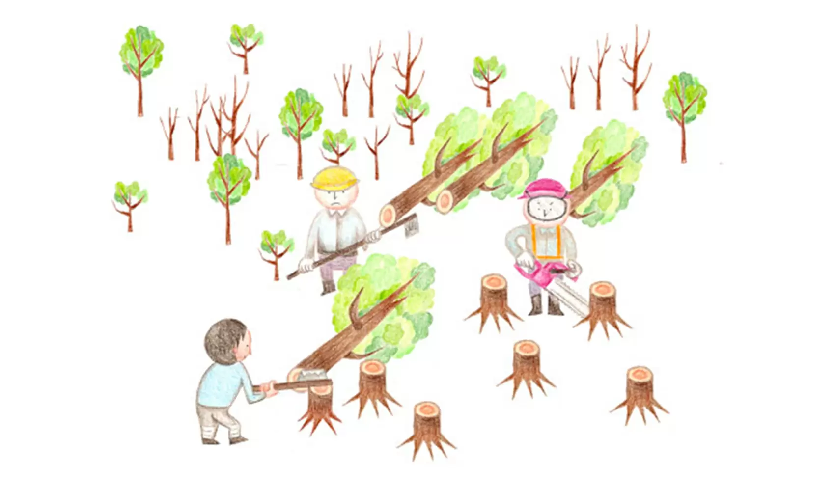 地球全体で森がどんどん減っているって本当ですか？（森林破壊）