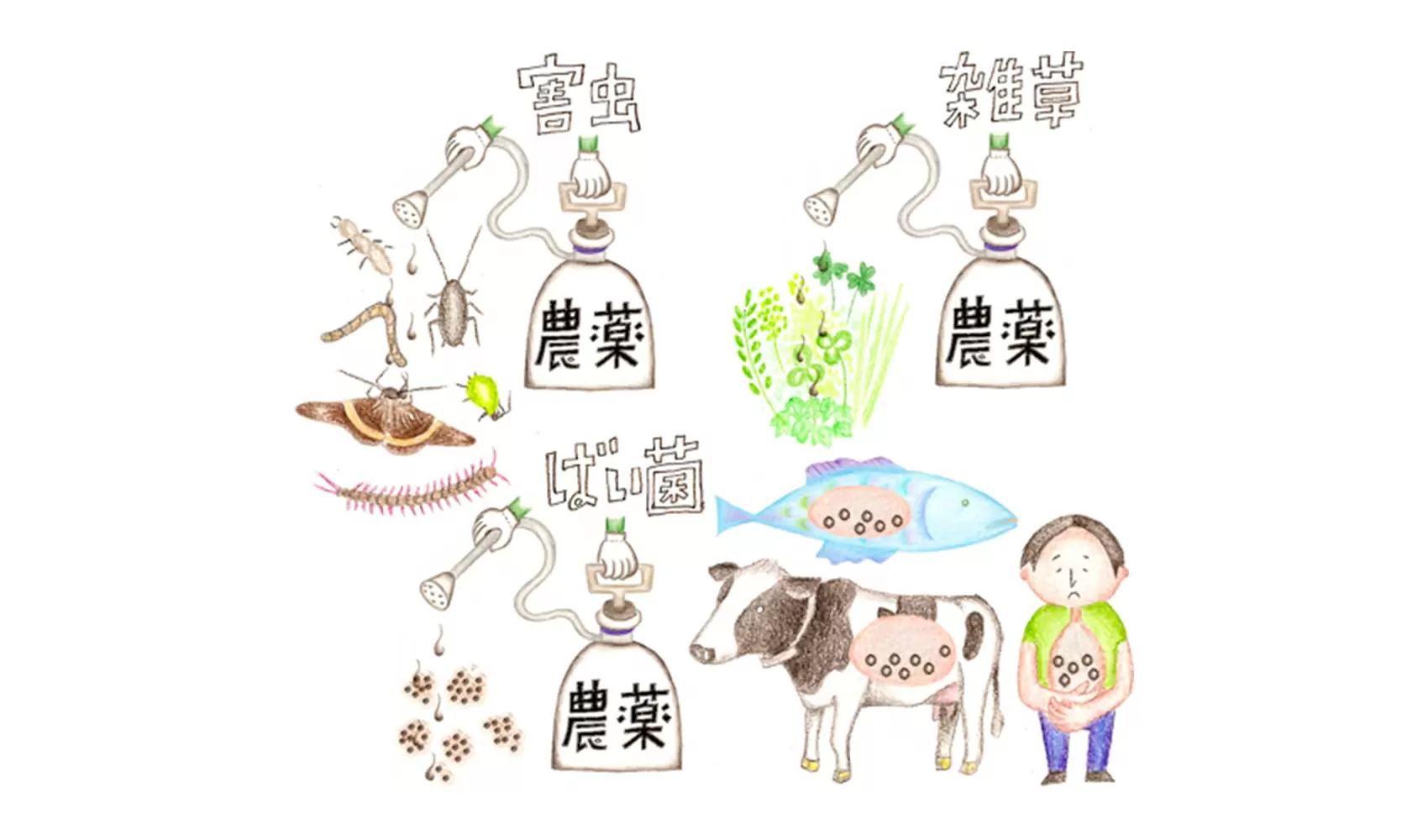 米や野菜を作るときに使う農薬は危険なのですか？