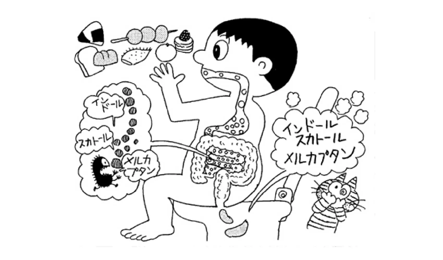 どうしてうんちはくさいの
