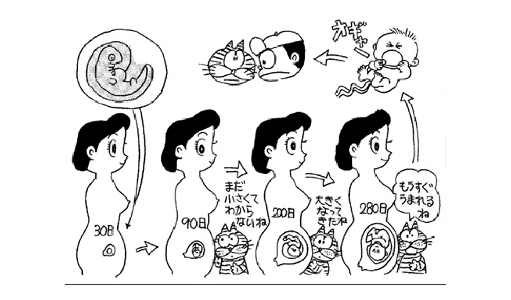 どうして人間は成長するの