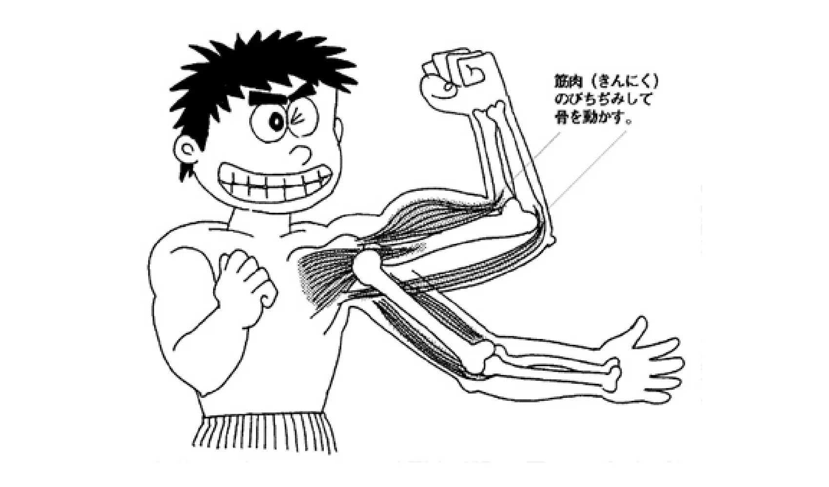 どうして人間は動けるの、手足は動くの