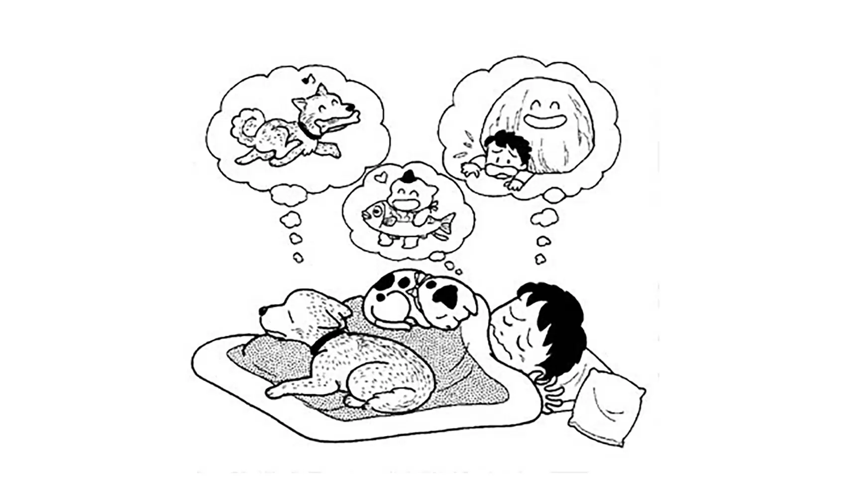 どうしてゆめを見るの