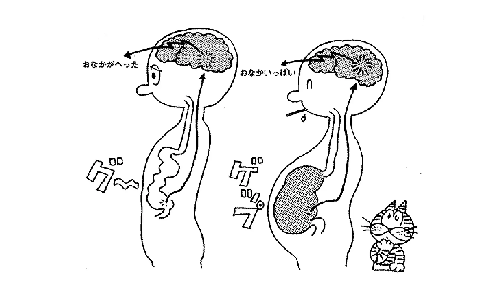 どうしておなかがへるの | ヒト | 科学なぜなぜ110番 | 科学 | 学研