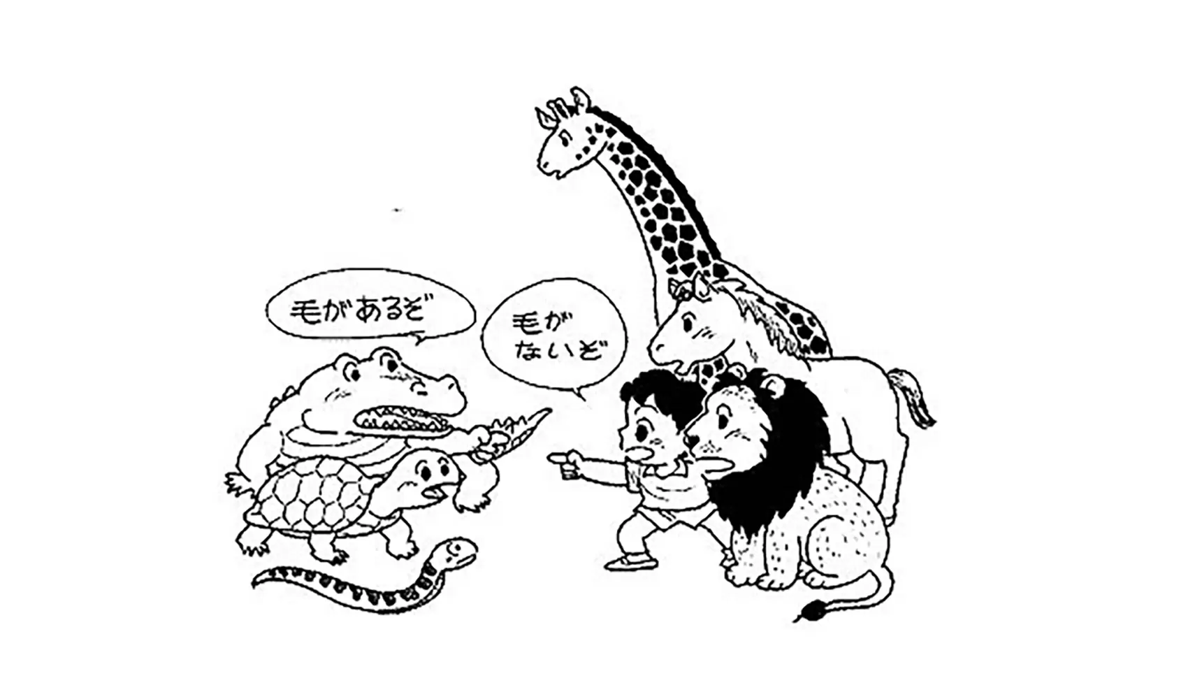 どうして人間には毛があるの
