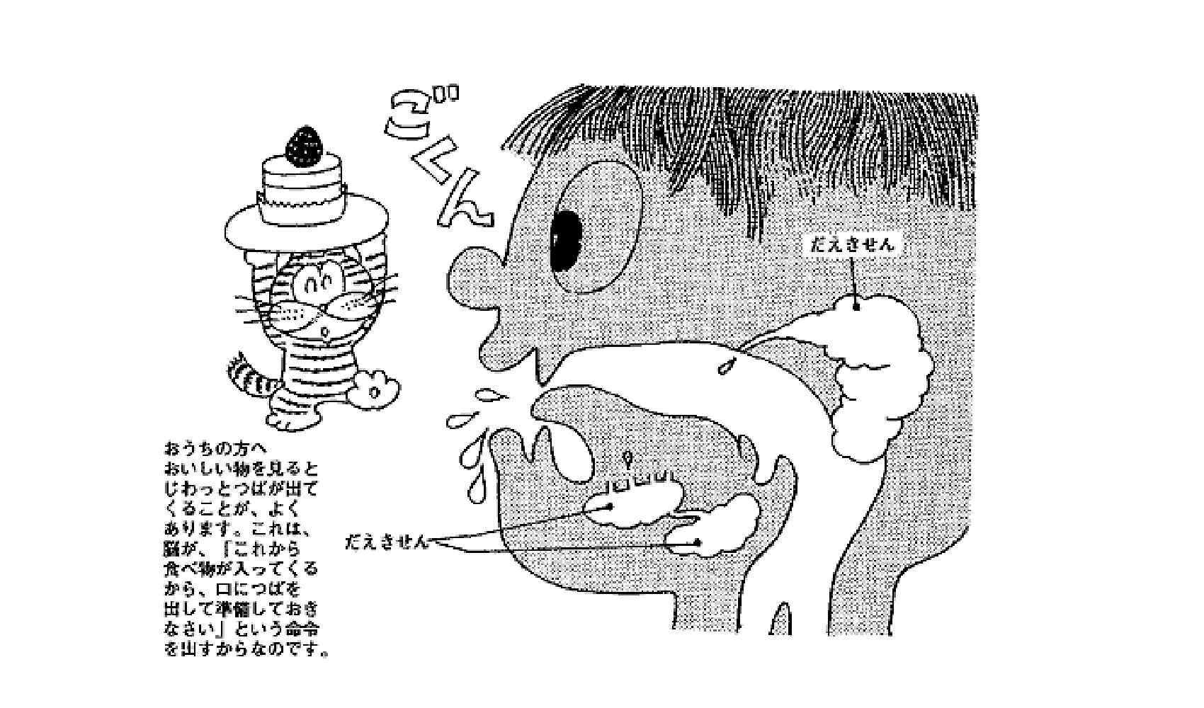 つばはどこからでるの、どうしてでるの