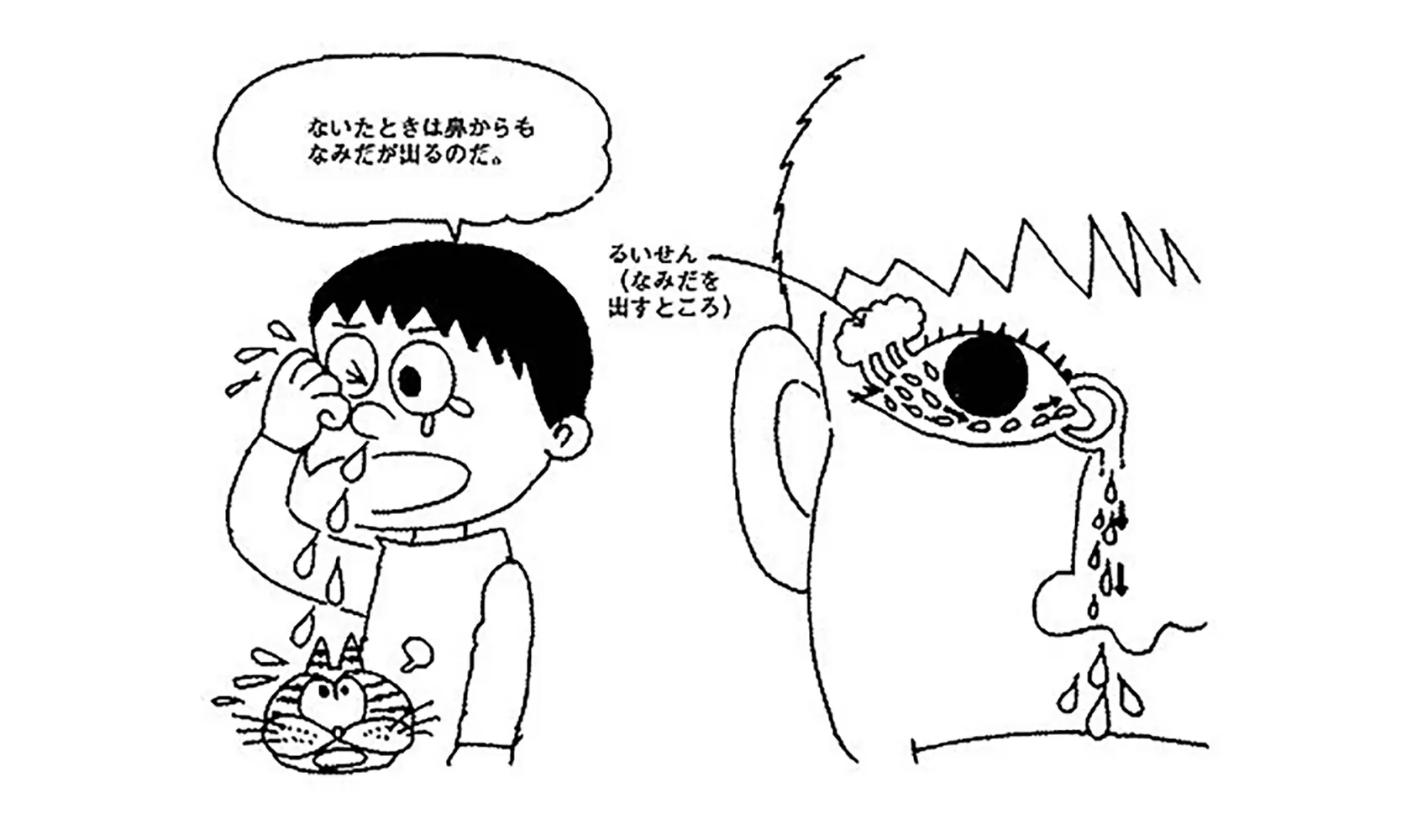 なくとどうして目が赤くなったり鼻水がでるの