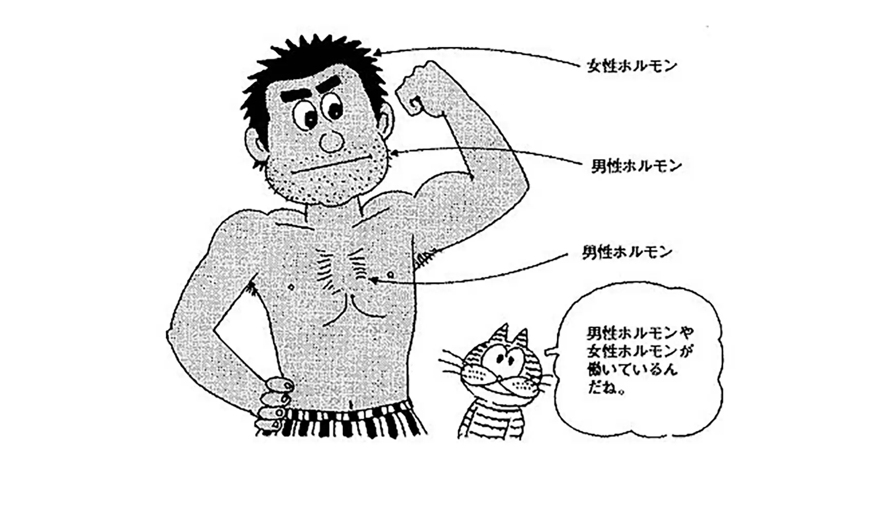 どうして大人になるとひげが生えるの