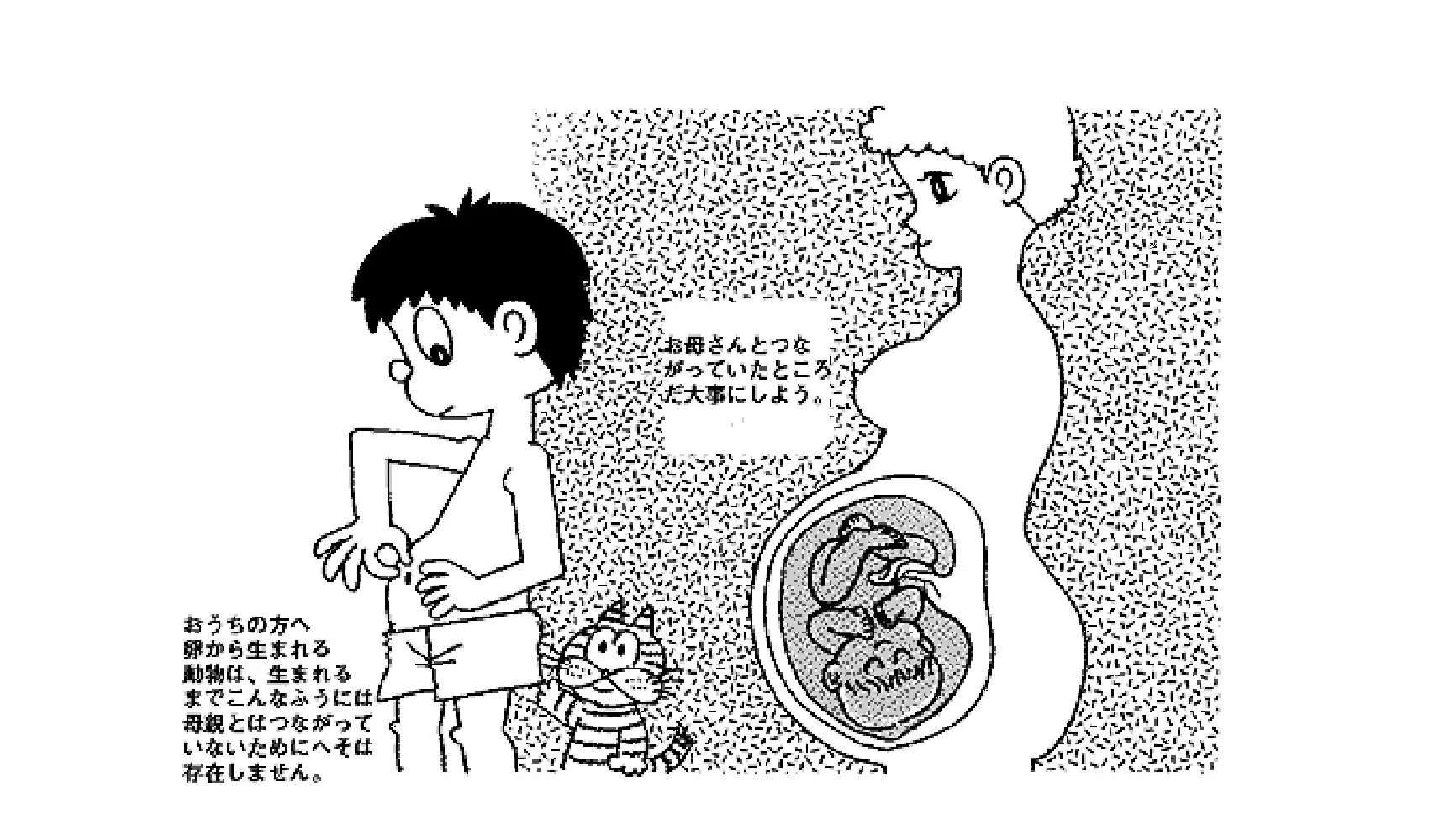 どうしてへそにはごまがあるの