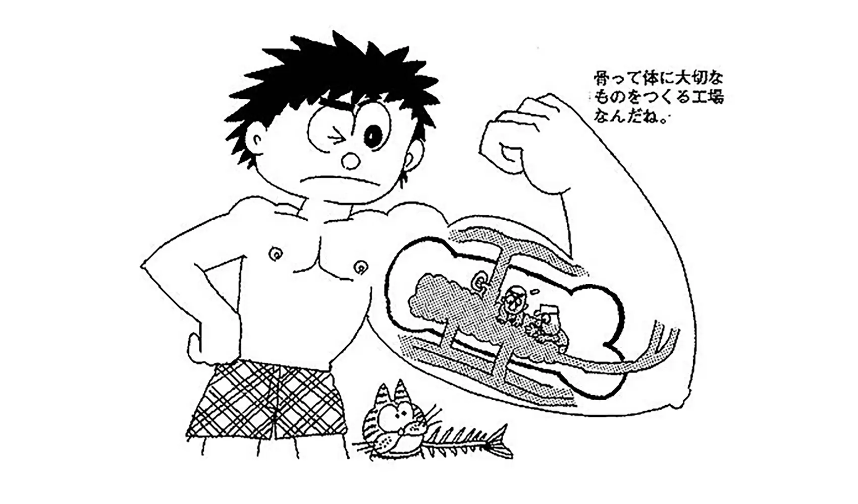 骨は何からできているの