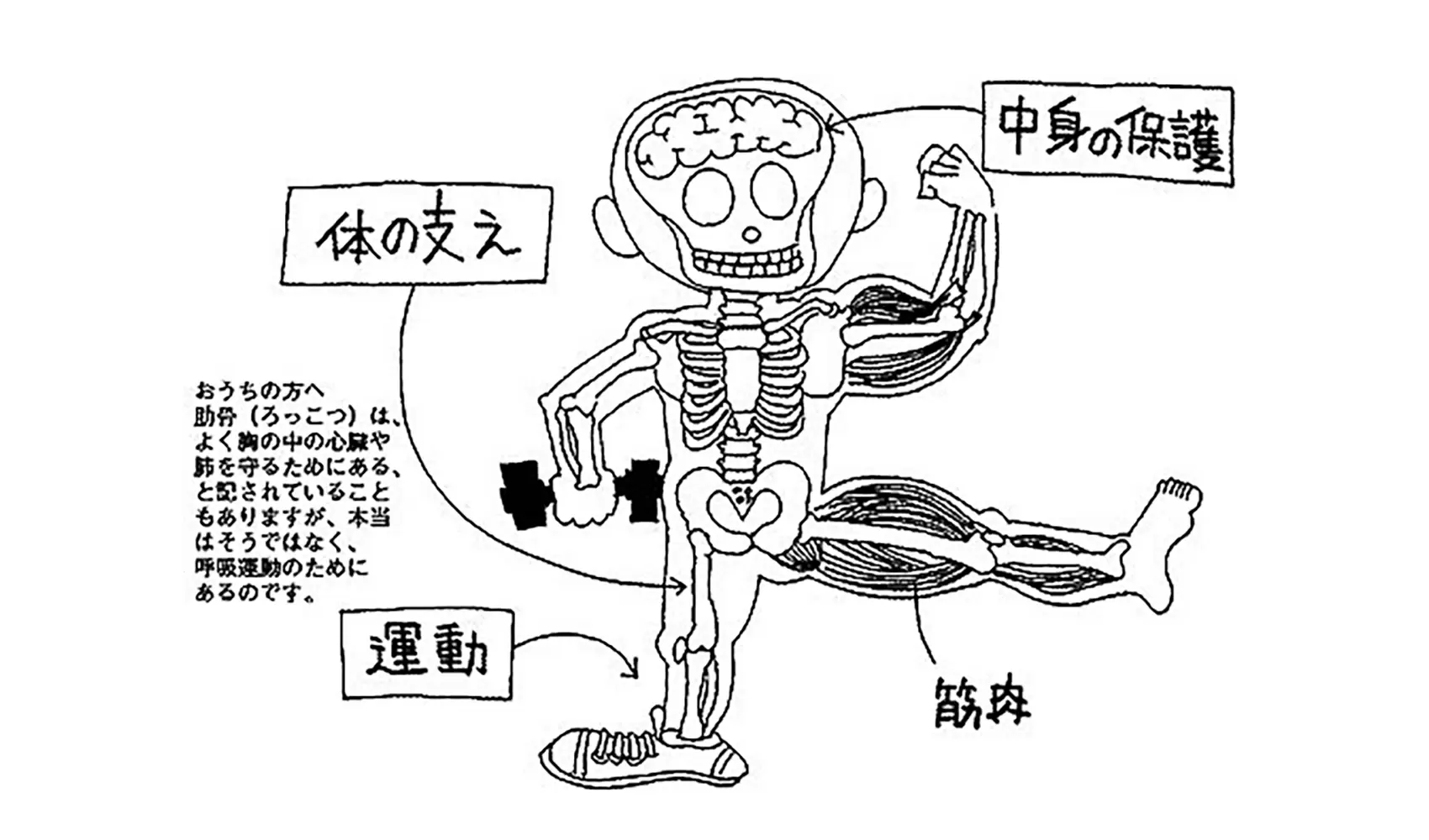 骨はどうしてあるの | ヒト | 科学なぜなぜ110番 | 科学 | 学研キッズネット