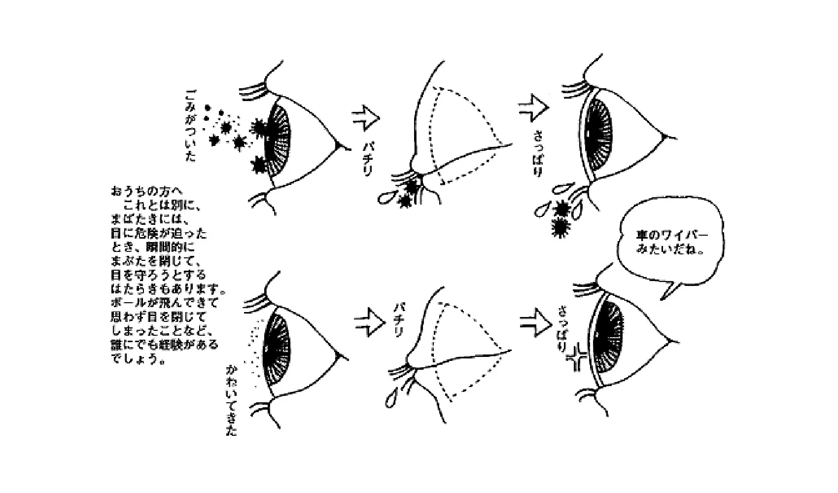 どうしてまばたきをするの