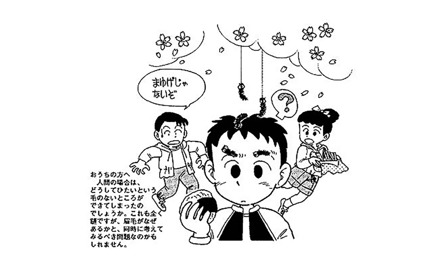 どうしてまゆ毛はあるの