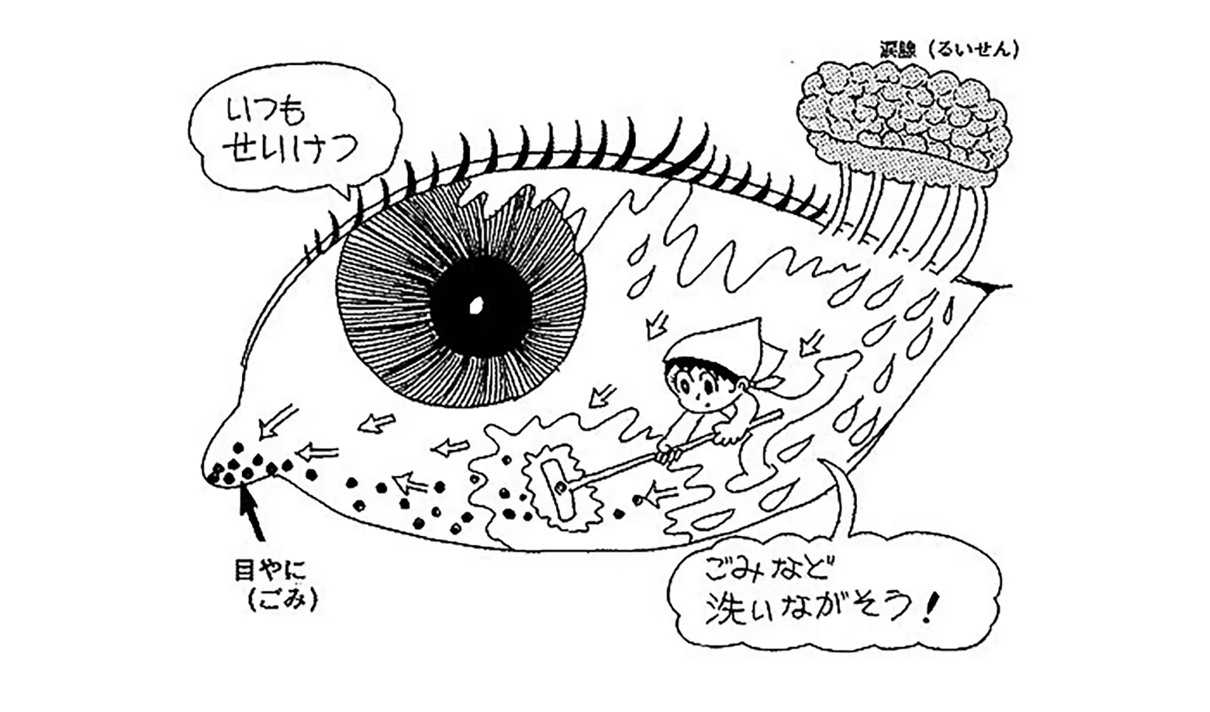 どうして目やにがでるの