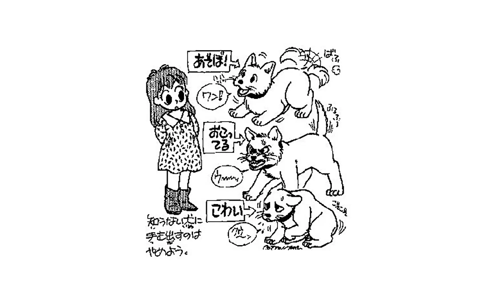 イヌはどうしてほえるの