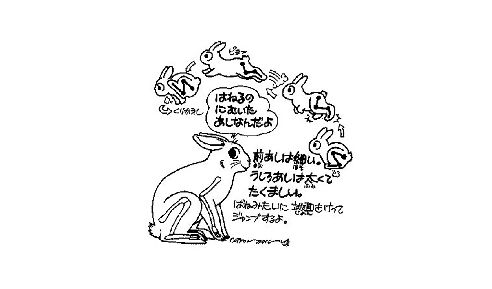 ウサギはなぜはねるの