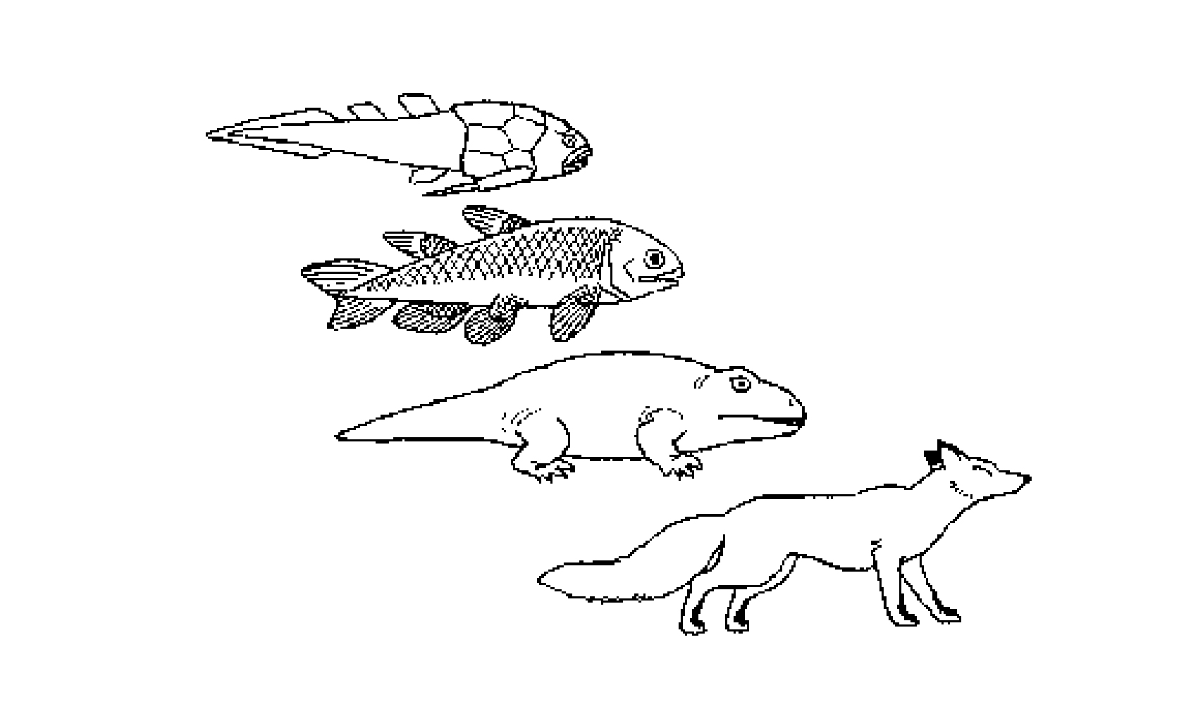 動物はどうして４本あしなの 陸の動物 科学なぜなぜ110番 科学 学研キッズネット